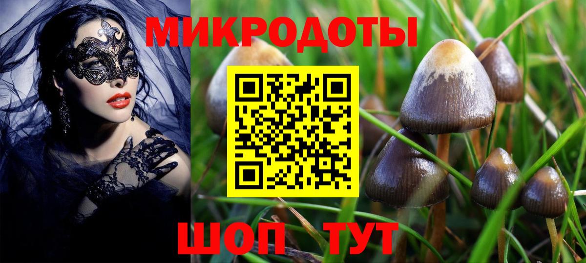 Псилоцибиновые грибы Magic Shrooms Родники